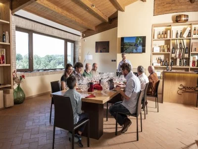 Thumbnail Besichtigung des Weinguts &amp; eine Flasche Wein mit lokalen Köstlichkeiten in Sassodisole in Montalcino