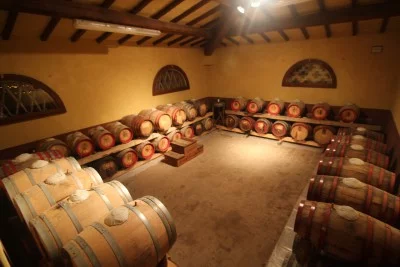 Thumbnail Estate Tour and Tasting Experience at Capezzana Winery