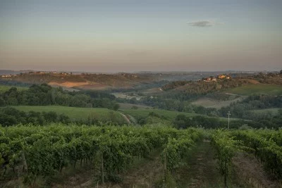 Thumbnail Cata de vinos en el corazón del Chianti en Tenuta Moriano