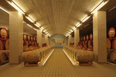Thumbnail Discover the secrets of Primitivo: Wine Tasting at Jorche