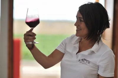 Thumbnail Cata de vinos en Antica Masseria Jorche: Descubre los vinos de Apulia