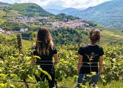 Thumbnail Visita a la bodega y cata de vinos de montaña en Villa Corniole