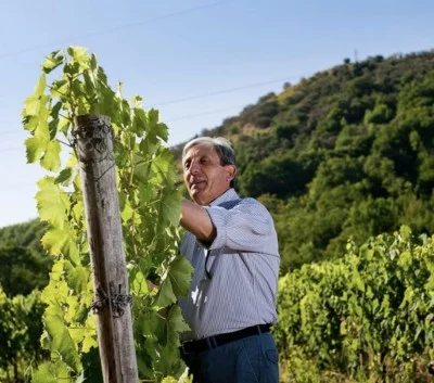 Thumbnail Weinprobe mit leichtem Mittagessen im Weingut Monte Gorna