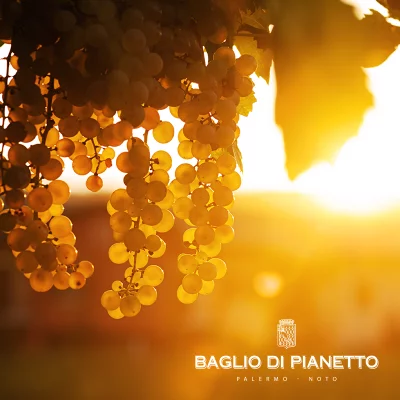 Thumbnail Our Jouney: Tasting and Tour at Baglio di Pianetto winery