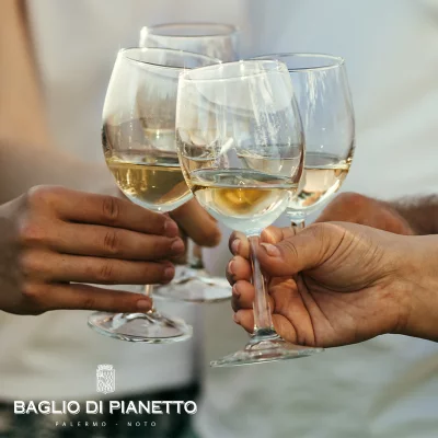 Thumbnail Orígenes e integración: Cata de vinos en la bodega Baglio di Pianetto
