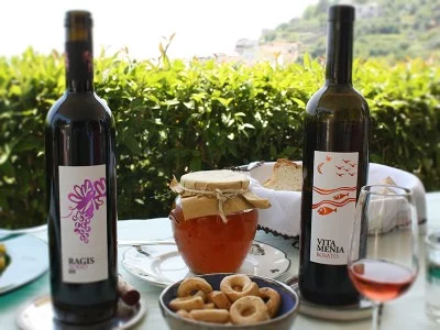 Thumbnail Cata de vinos en un viñedo ecológico boutique de la Costa Amalfitana