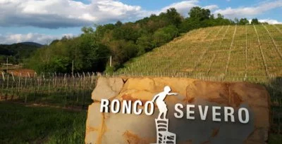 Main image of Ronco Severo