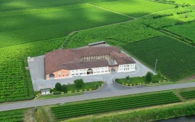 Immagine principale di Ca' Rugate Azienda Agricola (Valpolicella, Soave)