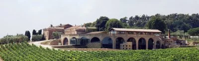 Imagen principal de Di Sipio Wine (Montepulciano d'Abruzzo)