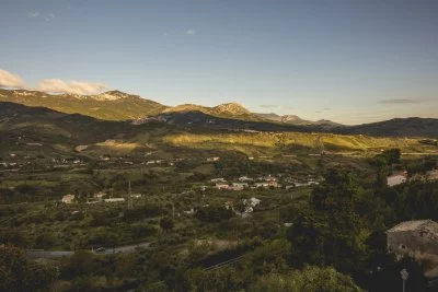 Main image of Azienda Agricola Terzini (Montepulciano d'Abruzzo)