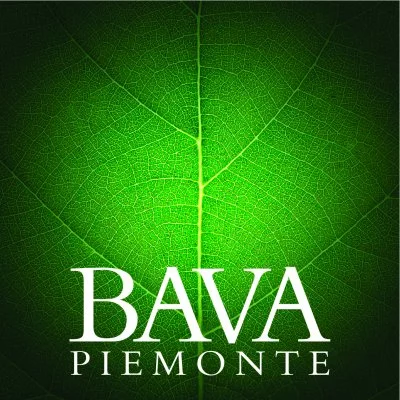 Main image of BAVA Azienda Vitivinicola