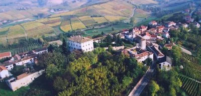 Main image of Vada Azienda Agricola