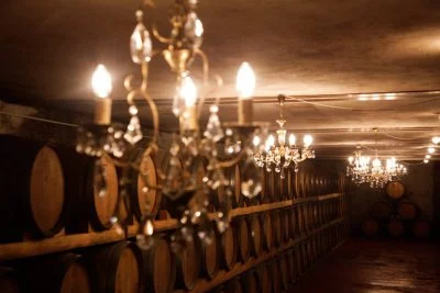 Main image of Azienda Agricola Torti - Torti Winery