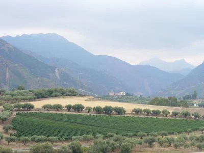 Hauptbild von Principi di Mola Azienda Agricola Salvo 