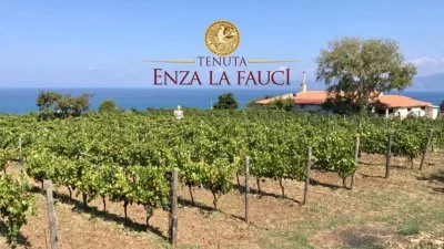 Main image of Tenuta Enza La Fauci