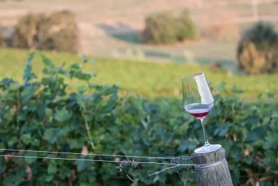 Hauptbild von ALEMAT - Azienda Vinicola • Winery (Langhe, Monferrato)