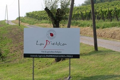 Main image of Azienda Agricola Padroggi La Piotta (Oltrepò Pavese)