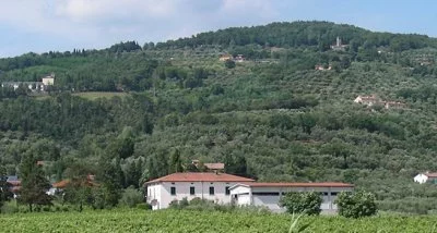 Image principale de Società Agricola Marini Giuseppe (Chianti)