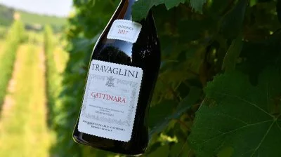 Main image of Travaglini Gattinara