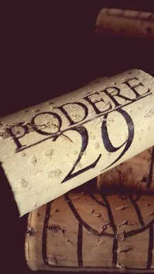 Main image of Podere 29