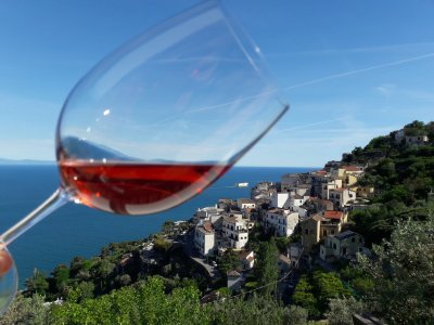 Main image of Le Vigne di Raito (Amalfi Coast)