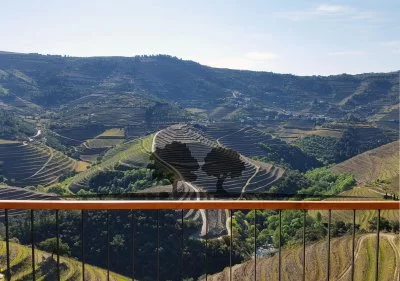 Immagine principale di Quinta da Marcela (Valle del Douro)