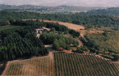 Main image of Il Cocco (Montalcino)