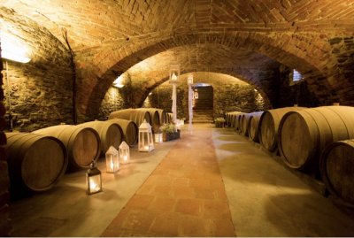 Main image of Cantine Luzi (Langhe)