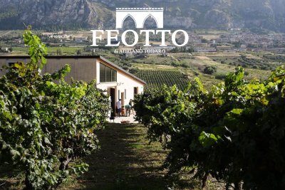 Main image of Azienda Agricola FEOTTO