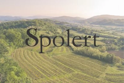 Image principale de Spolert Winery (Colli Orientali)