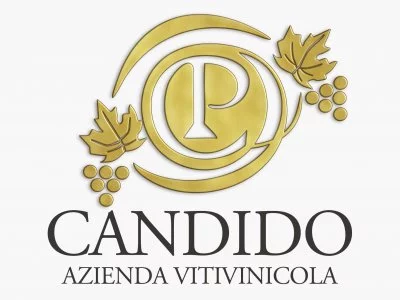 Main image of azienda vitivinicola candido vincenza
