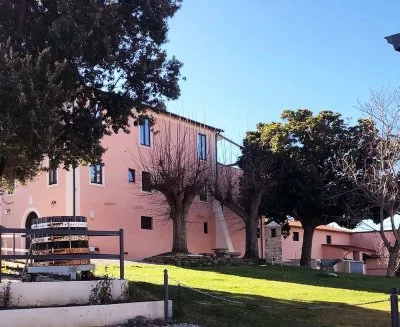 Main image of Rossi di Medelana (Castelli Romani)