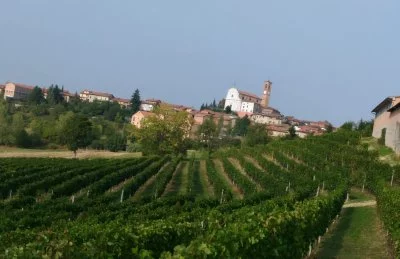 Image principale de Amelio Livio (Monferrato)