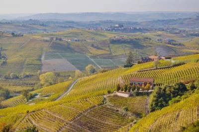 Imagen principal de Lonati Winery | Rocca delle Langhe (Langhe)