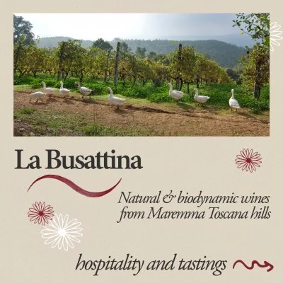 Main image of La Busattina (Maremma)