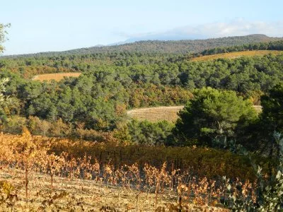 Hauptbild von laurent bellion (Südliche Rhône)
