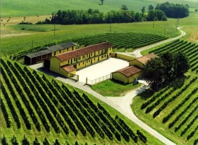Hauptbild von Azienda vitivinicola CASCINA FIETTA VINO DOC - Calvo Mario (Monferrato)