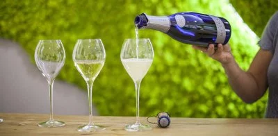 Main image of Champagne Météyer (Champagne)