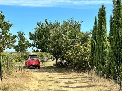 Hauptbild von Domaine Enclos de la Croix (Languedoc-Roussillon)