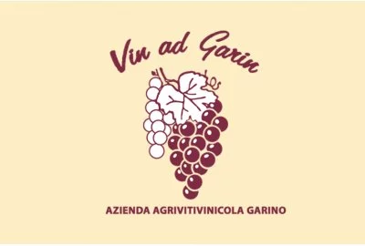 Image principale de Azienda AgriVitiVinicola Garino (Monferrato)