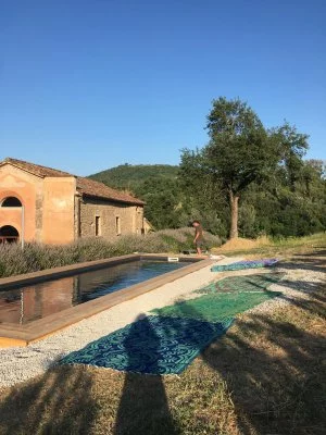 Hauptbild von Azienda Agricola Baccagnano