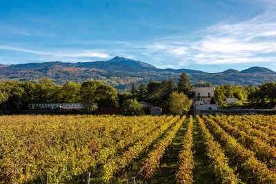 Image principale de Camporè winery (Etna)