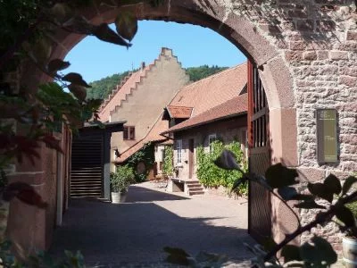 Hauptbild von Weingut Alte Grafschaft (Franconia)